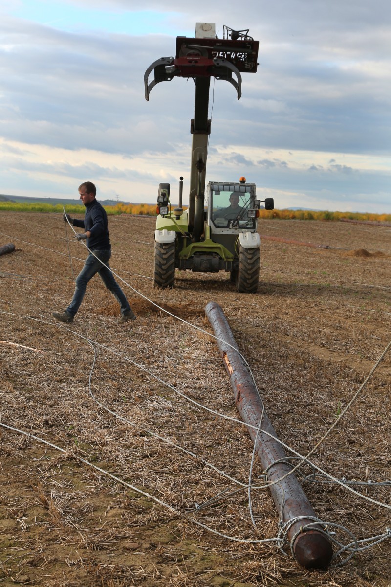 Montage houblonnière Harter - 14.jpg