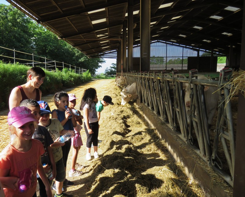 Fermes ouvertes018-Ferme Ernwein