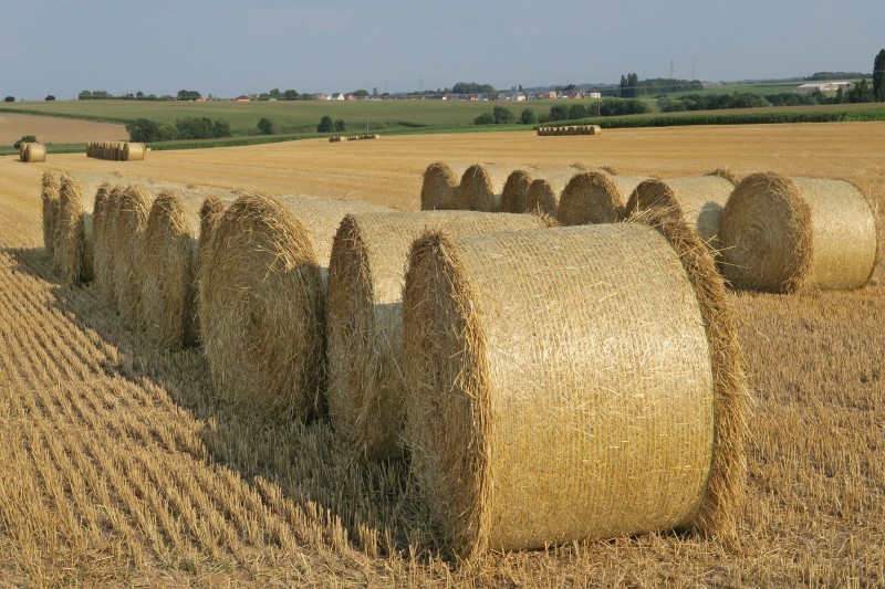 Tour de plaine - Paille_1.jpg