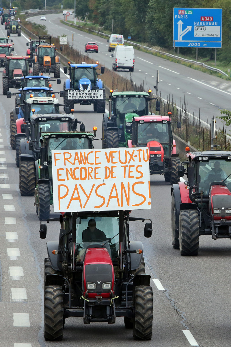 Manif - 10 - Brumath.jpg