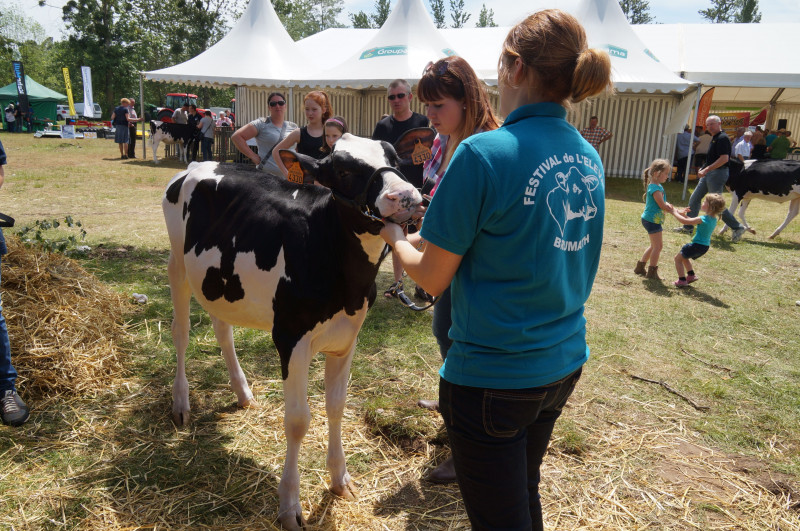 Festival elevage Brumath08.jpg