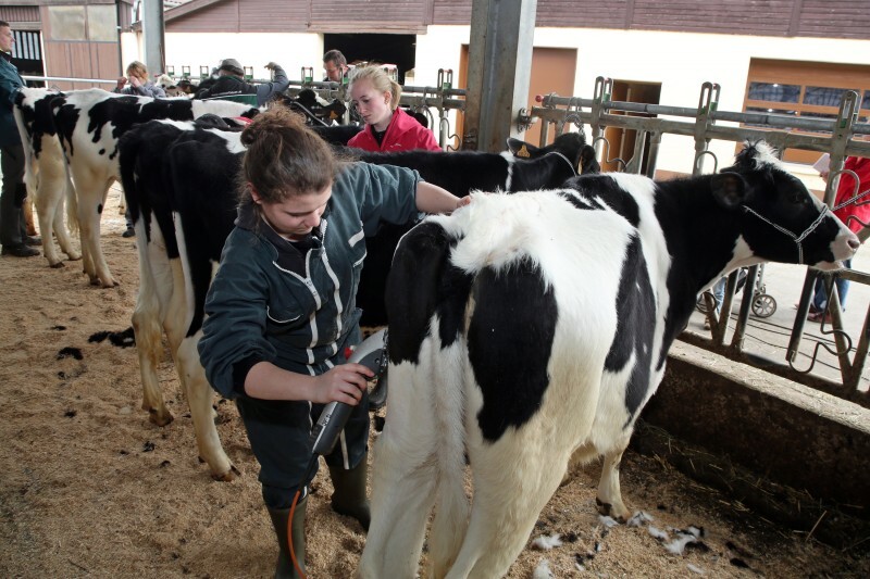 Ecole présentateurs - 02.jpg