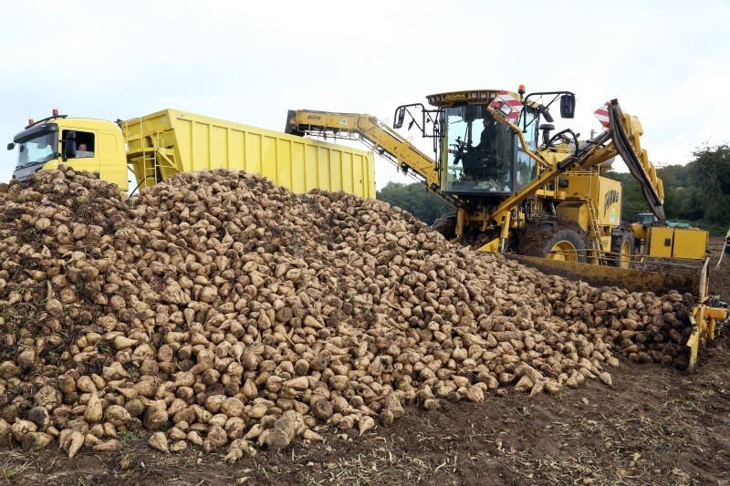 Chargement betteraves - 01.jpg