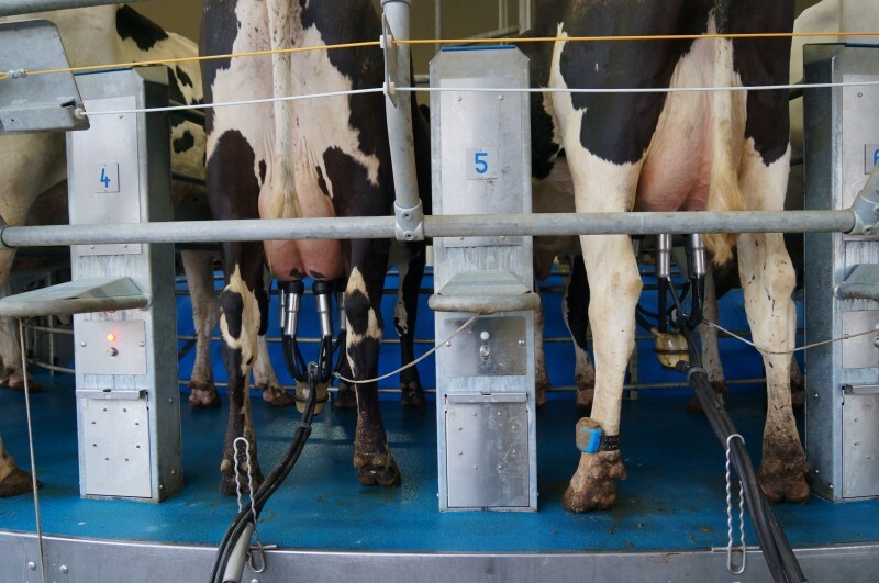 GAEC Wittelsheim-3.jpg