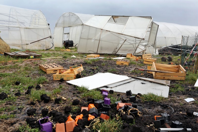 Dégats tempête - 06 - Thibaut Diemer - Kolbsheim.j