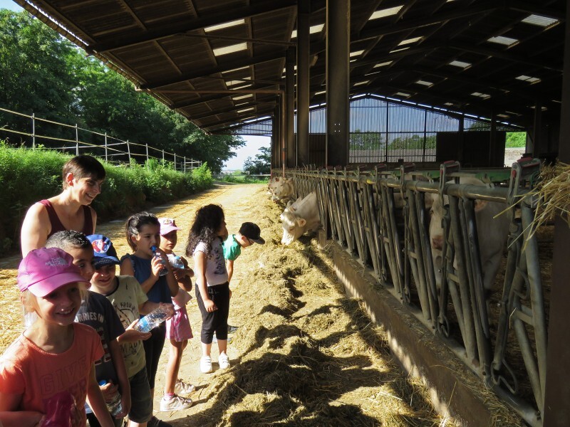 Fermes ouvertes018-Ferme Ernwein