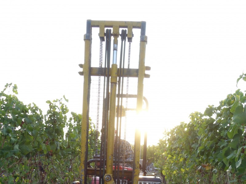 Départ vendanges Hardt 240817DSC00242.JPG