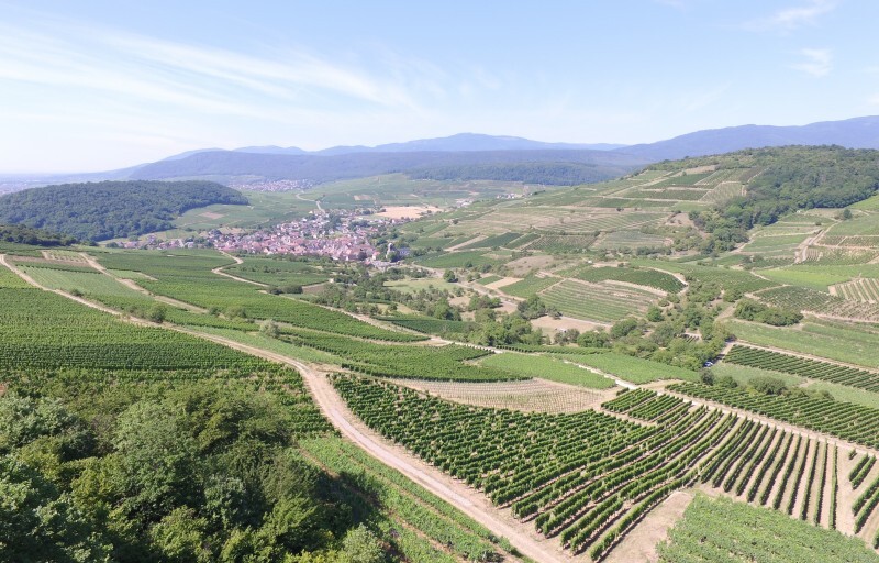 Drone vinges Westhalten 060717DJI_0002.JPG