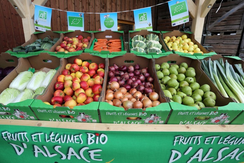 Fruits et légumes bio - 04.jpg