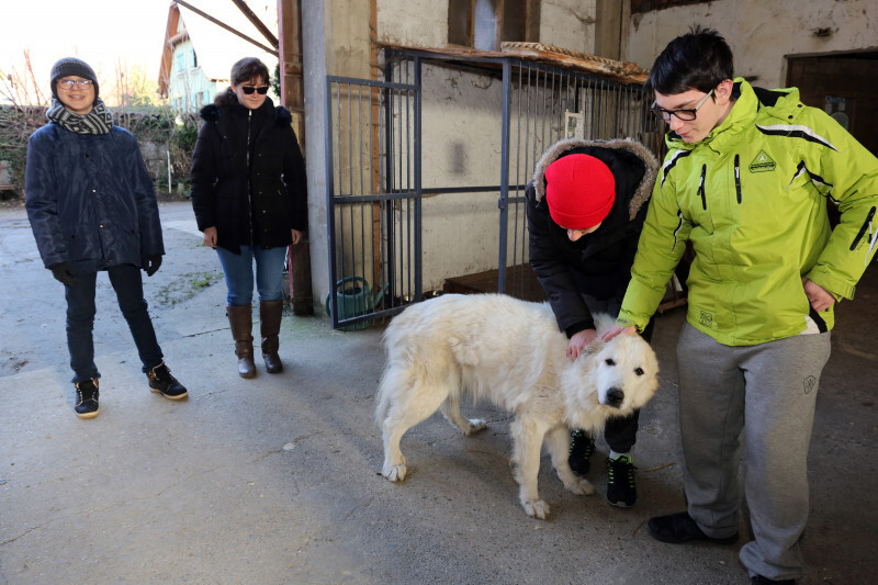 Médiation animale - 01.jpg