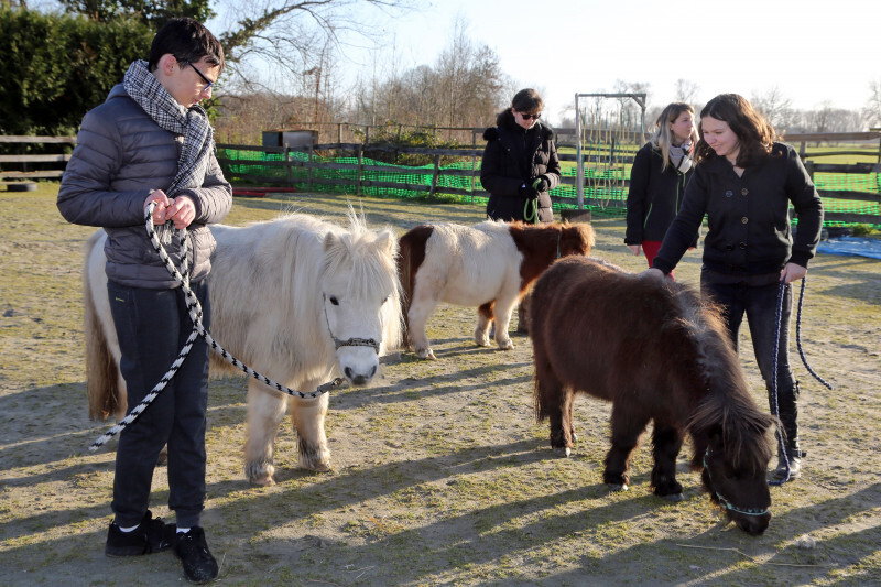 Médiation animale - 09.jpg