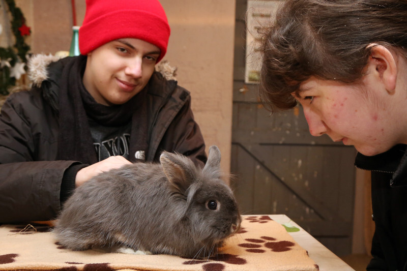 Médiation animale - 13.jpg