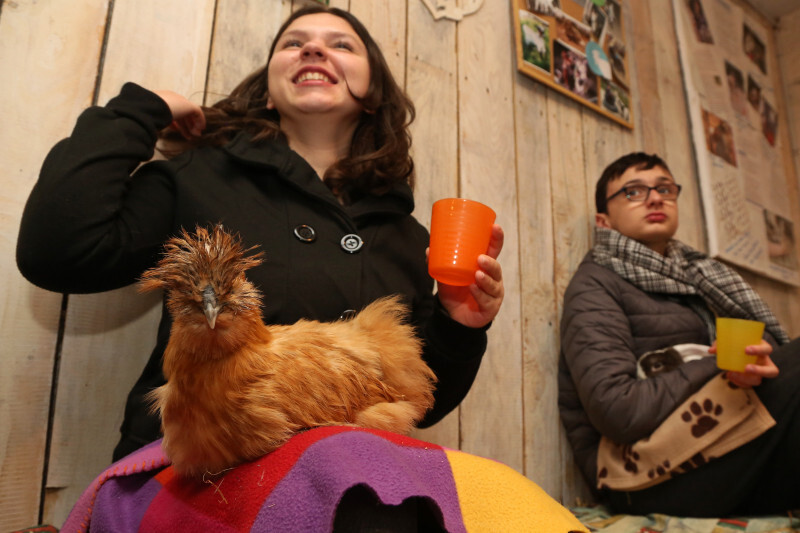 Médiation animale - 14.jpg