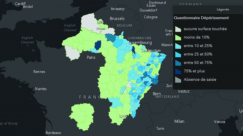 carte-ONF-dépérissement- (2).jpg