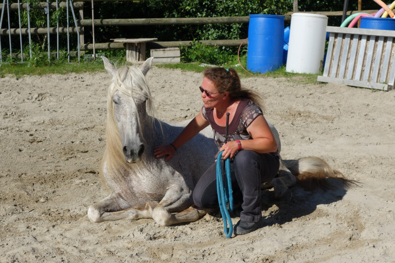 Kitty Lienhard Chuchotteuse chevaux 300620-5.JPG