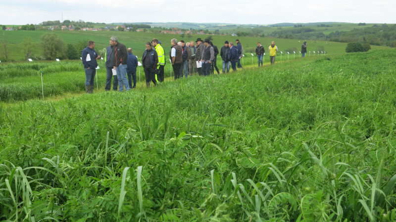 Comptoir-agricole-fourrage- (6).JPG