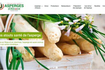 site-internet_asperges-alsace.png