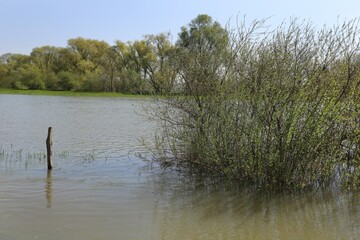 Inondations - 06.jpg