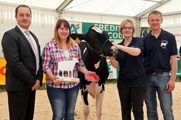 Festival de l'élevage - Prim-Holstein - Grande cha