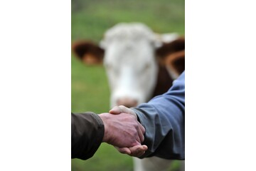 poignée de mains, crise agricole