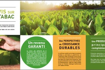 tabac%20campagne.jpg