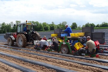 Pépinières Bernhart 3