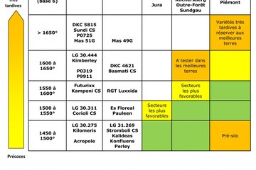 Préco var ensilage 2017.jpg