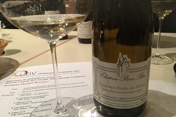 La Roche aux moines Chateau Pierre-Bise