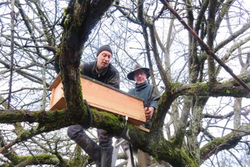 Nichoirs à chevêche