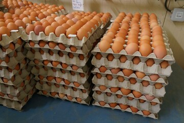 Ferme José Pflieger 13031710.jpg