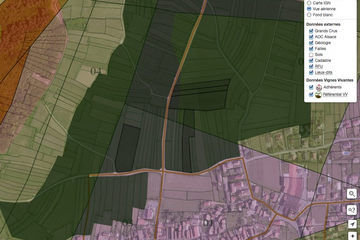 Vignes vivantes carto