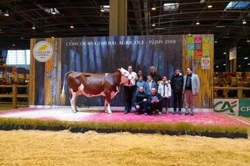 Concours Montbéliardes SIA 250218IMG_20180225_130