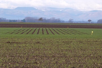 Grusenheim janvier 2019.JPG