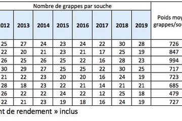 prévision rendement 2019