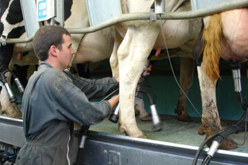 Emploi_Apprentissage