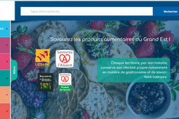 illustration site.jpg