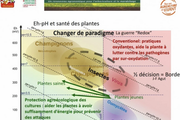 Diagramme RedOX