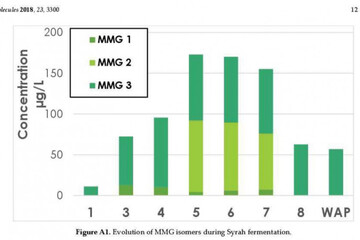 Flavonoïdes fermentation