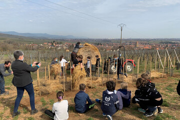 Hervé Gaschy Plantations enfants 