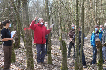 Plantation-placeaux- (2).JPG