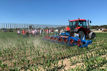 Désherbage méca maïs Beinheim 1