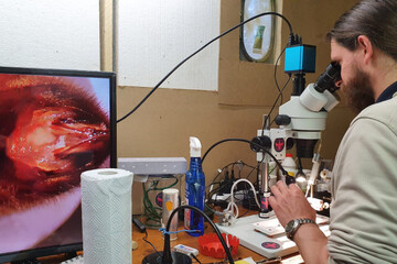 selection-abeille-resistante-varroa- (4).jpg