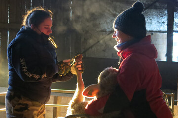 ovinpiades-2022- (5).JPG