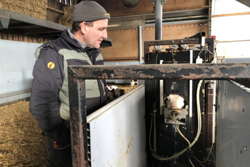 Ferme Daul-Boime_nurserie_robot_autoconstruit_tri_buvée_veaux_montbéliards_Pfettisheim_Dominique_jan