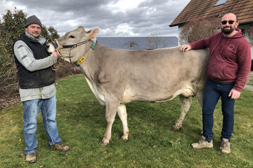 EARL de la Marguerite_Sébastien Baur_Jean-Charles Wurry_Stotzheim_Odesssa_vache_génisse_première lac
