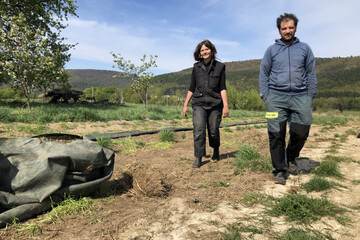 Jean_Becker_EARL_Terre_activ%E2%80%99_mara%C3%AEchage_conservation_sol_Lucie_Niederbronn_Agronomie_a