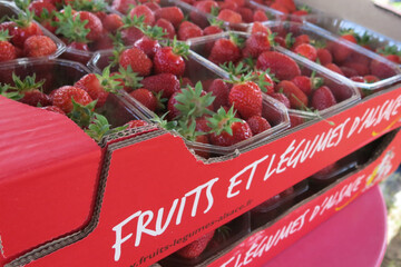 Lancement-fraise-2022- (3).JPG