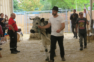 FE-CP-Vosges-2022 (6).JPG