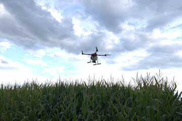 Drone_mai%CC%88s_AB2F%20Conseil_cartographie_parcelle_de%CC%81sherbage_pre%CC%81cision_agronomie_202