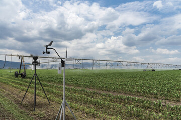 Irricrop-field-1 print.jpg